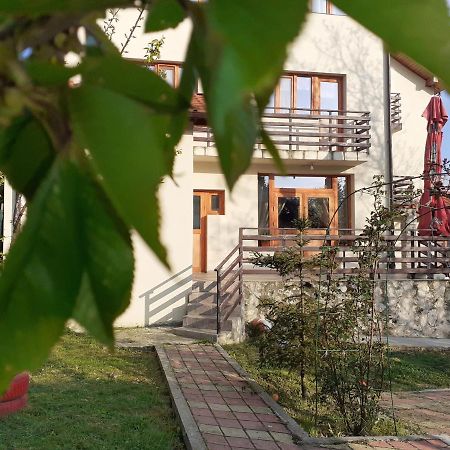 Pensiunea Montedoro Sărata-Monteoru エクステリア 写真