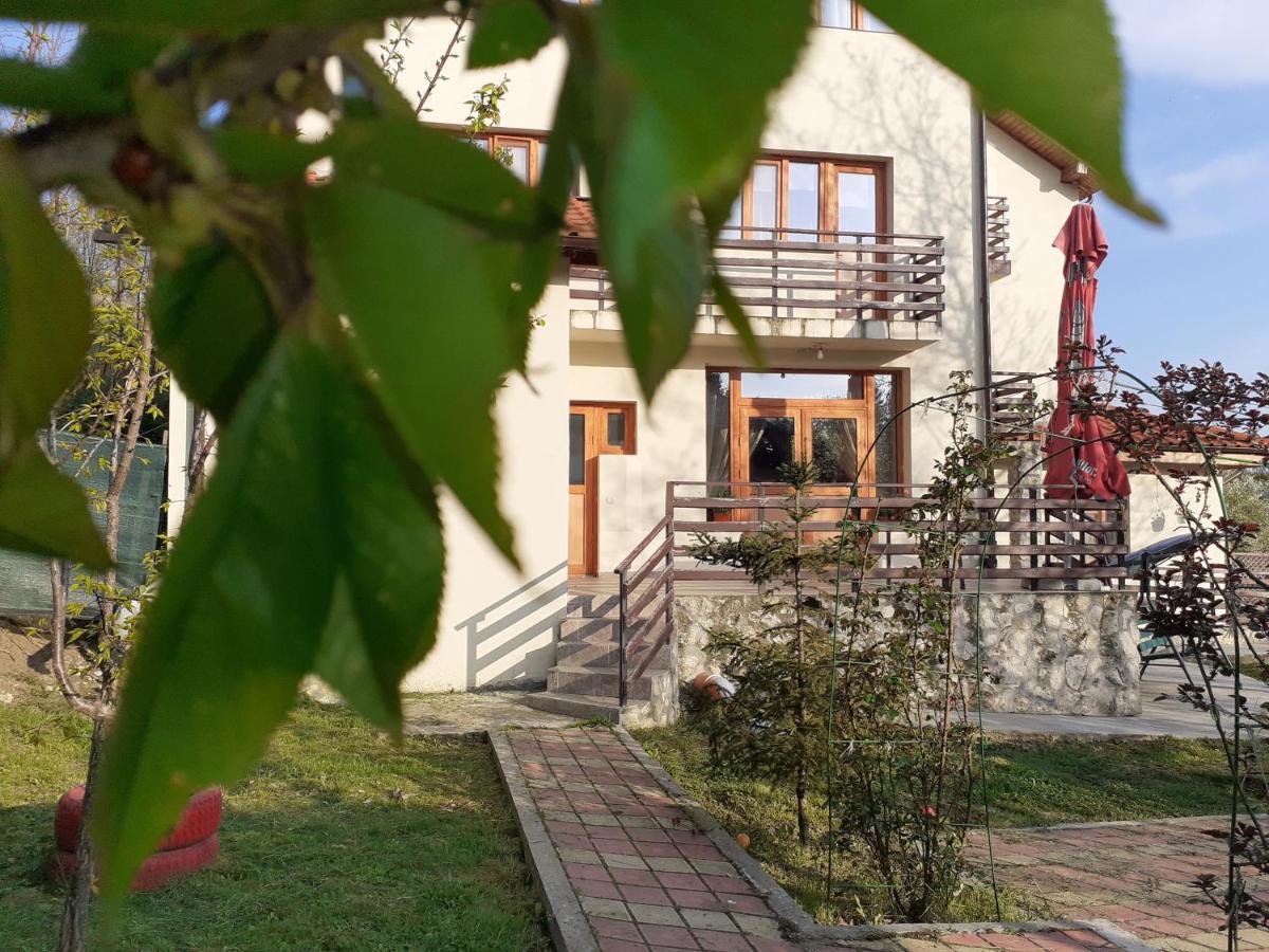 Pensiunea Montedoro Sărata-Monteoru エクステリア 写真